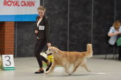 64e2b2dedc2aac2e5ad87a9a2ebf0afa_246