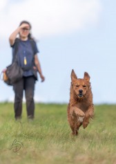 64ecc8b9682acf02b469b883503bb029_168x237