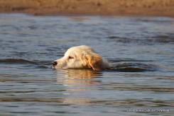 64ecec9f1be020931023cc2a9c93c1ae_245