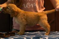 64fb4425029489be6231aa8e05e08813_194