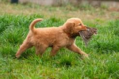 64fdb135091fa681cdaa3ec1fa73811e_246