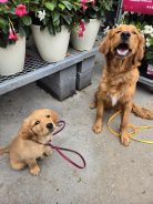 655026f352474a1bfb1df5db312d32aa_138x184_fill