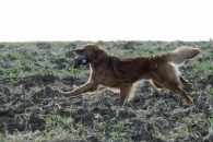 65573d33a160bbd72d20653dcceba97d_195x130_fill