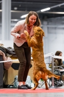 65a6e5cdf4117766aacaad15dfe252ff_130x195