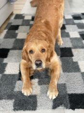 65d554b4acc1e718114ad0c6762b06ff_174x232_fill