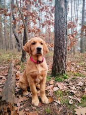 65e674784876d937993d87584ababd82_174x232_fill