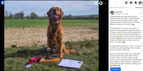 65fcfc8ab4bdc1f046a1536ed4741ff3_281