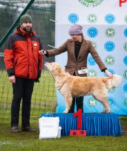 6648ef2a664cde6d99e698e662fcc64e_184x218