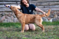 667898212362bcaf6b348867fc15412c_195