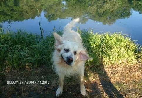 66aaab81cabfa0f457eb9fef7fd0a36a_483