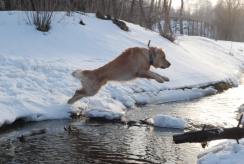 66d34e36344050b3eb0de345ca794c7d_244