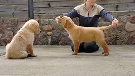 66d3e519bfe5ac0a56cca16b2df0c432_266