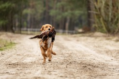 66e646da5b99b8a3b36aa48ea8c9477f_246