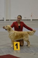 66f7a4310974bac6cb3cbe9814a28c71_164x246