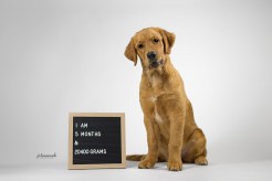 67253a5e9d8992f1183f1e2441799d26_246