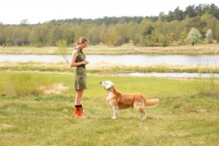 6727d338f9fd0d69fc3af85e2f3b2888_246