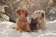 672ba2fa7821e55981d7441c0eca5f4c_195x130_fill