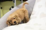 673cdd1efca52b9b0016c17eefb9a055_195x130_fill