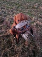 67403333a1d00a6198005788e20a0e97_138x184_fill