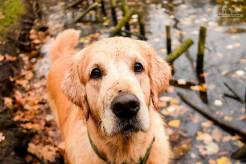 67568e88c74bd470bd61c194d2255eaf_246