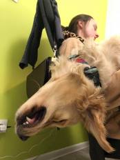 676d40b790261bb08bdad8ac9fbd2e7a_174x232_fill