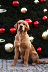 6773c92dd19f4111c504c6c2e3d60727_164x246