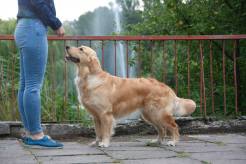 67bb1bada6e326887a69d7abd18d9db8_246