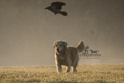 683ad9f83986a658677bd04c0f9ad8c6_245