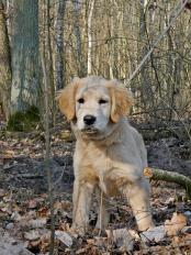 68664ad8a49b53077bf87531ffc41331_174x232_fill