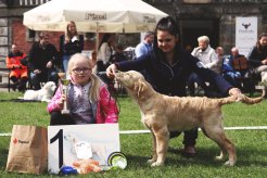 68892293858e1f1bd7e0aedaa1eec7b2_246