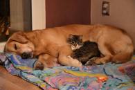 689ec6cdaa15708ae05ea162bd4b7f42_195x130_fill