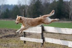 68b6cf9d7b29386d6da6bde6fdb8dd52_246