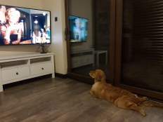 68ed48afa0bddbf31f46f8c1948baa46_232x174_fill