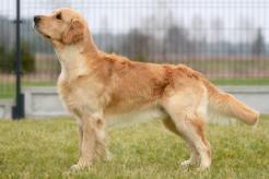 6946dce93f49f9296bd992a5072e7e4f_246x164_fill