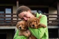 69580ff2ef2f1cf8bb0b4d698f855036_195x130_fill