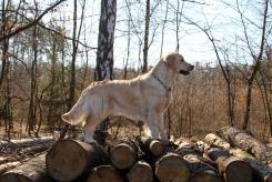 6959edd6654c1fb8dc222cb839520ab2_245