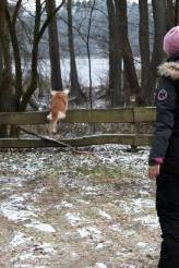 6960567ae4dab753ba1422b7da92f3b3_164x246