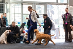 6991fbfcc32cc09f7a377ed9d0acce7e_246