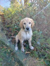 699e65ee203037e82d6a0ae0c454ef6f_174x232_fill