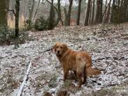 699ef167dddd34695a53b01a4c7da0a7_184x138_fill