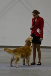 69a83031dc52e508d4eb7aee60a8e6f5_164x246