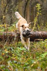 69b60478e17887064eeb868dc26bac91_164x246