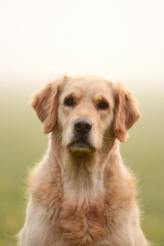 69bd0516374511604b191f8324b683bd_164x246_fill