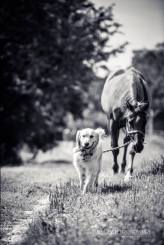 69d26ba3905bebfc7f2c88581769467a_164x245