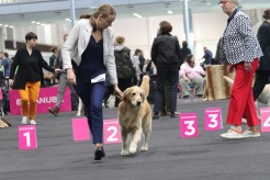 69df64af031f7d5de03adddea0cc16d9_246