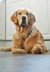 69e04f7513438df9533ea02c162cb0ff_168x240_fill