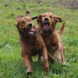 69e7c8e2c80c88763505d8b65135872c_160x160_fill