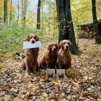 6a0524e73f0fe072c2dc0048234c1af4_200x200_fill