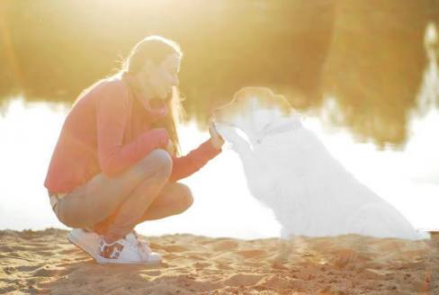 6a24b2d4172bcca56caa55530a5dd6ce_488