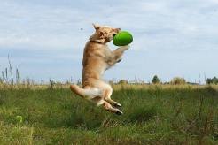 6a49d5500e1da221a19ce3f3028d32fc_246x164_fill